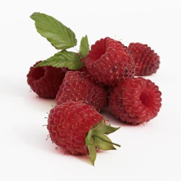 Strawberry - دانلود مدل سه بعدی توت فرنگی - آبجکت سه بعدی توت فرنگی - دانلود آبجکت توت فرنگی - دانلود مدل سه بعدی fbx - دانلود مدل سه بعدی obj -Strawberry 3d model - Strawberry 3d Object - Strawberry OBJ 3d models - Strawberry FBX 3d Models - 